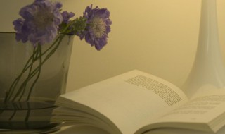 赞美老师的名言诗句（赞美老师的名言诗句4句）