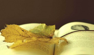 草原课文主要内容 草原课文主要内容概括