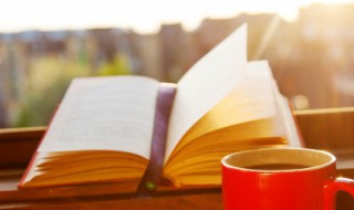 一览众山小上一句(一览众山小上一句怎么说)