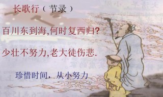 少壮不努力的上一句是什么 少壮不努力出自哪首诗作者