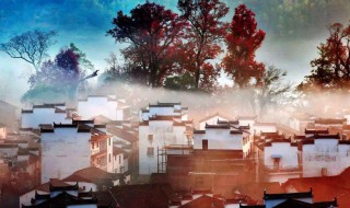 天涯何处无芳草下一句（天涯何处无芳草下一句怎么接）