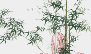 竹子的诗句（竹子的诗句书法作品）