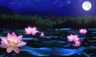 荷塘月色原文 荷塘月色原文阅读