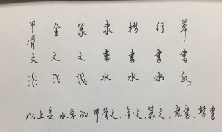 水的笔顺怎么写 水的笔顺怎么写的笔顺视频