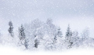 赞美雪的诗（李白赞美雪的诗）