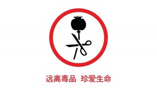 禁毒的名言警句英文 禁毒的名言警句英文简短