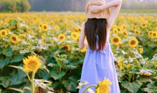 美句美段摘抄大全 美句美段摘抄大全推荐