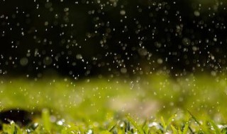 关于雨的俗语（关于雨的俗语有哪些简单）
