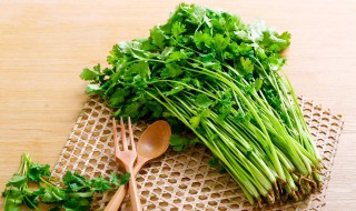 孕妇可以吃香菜吗 孕妇可以吃香菜吗孕晚期