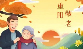 有关重阳节的诗句（9月9日忆山东兄弟中有关重阳节的诗句）