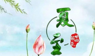 赞美夏天的诗句（描写赞美夏天的诗句）