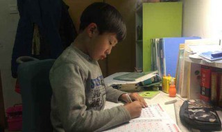 四个老虎打一成语 四个老虎打一个成语