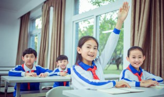 净食是什么意思是什么（净食有什么好处和坏处）