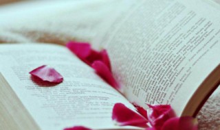 闭月羞花中的闭月指的是谁（沉鱼落雁真正的解释）