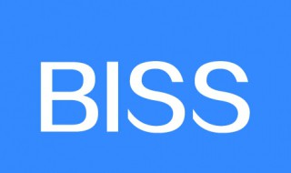 饭圈biss什么意思（biss的梗出自哪里）