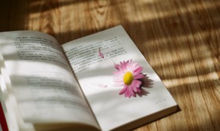 尪怎么读 尪怎么读尪痹片