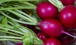 小萝卜菜的菜饭怎么做好吃 小萝卜菜的菜饭怎么做好吃呢