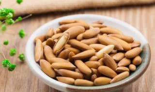 松子的营养价值和功效 手剥松子的营养价值和功效