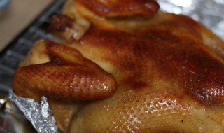 黄芽菜烧素鸡 黄芽菜烧素鸡好吃吗