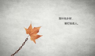 形容孤独无人懂的诗句（形容孤独无人懂的诗句六个字）