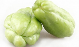 洋瓜做法（洋瓜做法大全家常菜）