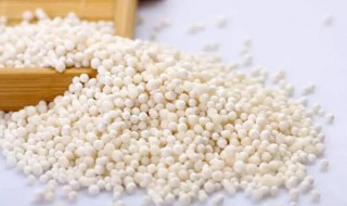 西米是什么米 西米是什么米图片