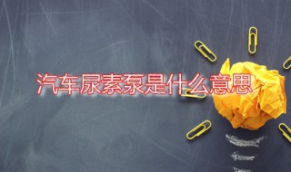 汽车尿素泵是什么意思（汽车尿素泵是什么意思呀）