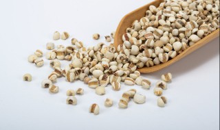 薏米糊的做法和配方（薏米糊的做法和配方窍门）