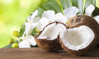 椰子乌鸡汤的功效与作用 椰子乌鸡汤的功效与作用百度百科