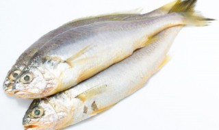 蒸鱼需要腌制吗 蒸鱼需要腌制吗多久