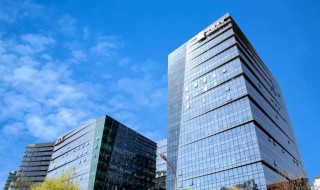 子公司和分公司的区别是什么