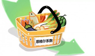 恩格尔和基尼系数是什么（恩格尔与基尼系数）