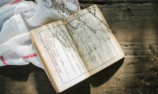 桥梁的意思（桥梁的意思解释）