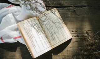 张载读音(张载读音解释)