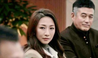 扫黑风暴里哪个是孙红雷老婆（扫黑风暴里哪个是孙红雷老婆啊）