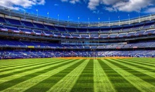 世界杯足球场面积 世界杯足球场面积约7000公顷对吗