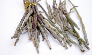 石斛发芽能吃吗 石斛发芽能吃吗视频