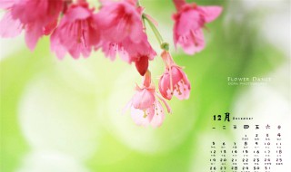 12月再见1月你好正能量语句（12月再见1月你好正能量语句怎么写）