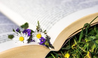 是骡子是马拉出来溜溜什么意思（马骡和驴骡哪个更猛）