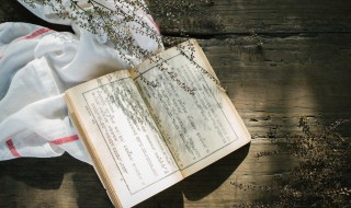 模具读音（模型读音）