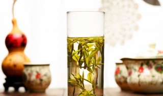 喝大红袍的禁忌有哪些（喝大红袍的禁忌有哪些食物）