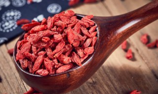 养生食物枸杞一天吃多少粒最好（枸杞一天吃多少比较合适）