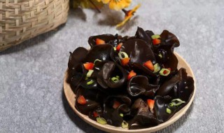 菌中之冠木耳不能和什么一起同吃 木耳和菌子能不能煮在一起