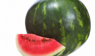 春雷西瓜功效与作用禁忌 春雷西瓜品种