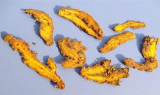 黄连的功效与作用及食用方法（黄连的功效与作用及食用方法图片）