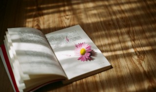 离骚屈原原文 离骚屈原原文全文