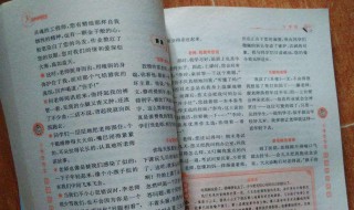 写人的好句好段 积累写人的好句好段