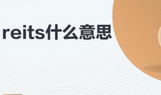 reits什么意思 C-REITs什么意思