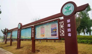 禁毒名言警句大全简短 禁毒名言警句摘抄大全