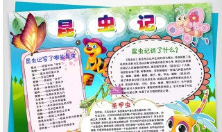 昆虫记手抄报内容（昆虫记手抄报内容简介）